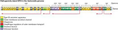 Figure from Chapter 16, Microbiology: An Evolving Science 6e