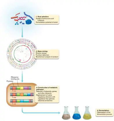 Figure from Chapter 16, Microbiology: An Evolving Science 6e
