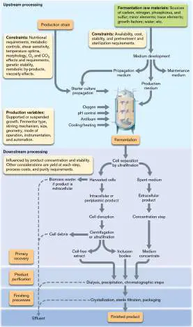 Figure from Chapter 16, Microbiology: An Evolving Science 6e