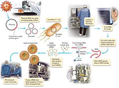 Figure from Chapter 16, Microbiology: An Evolving Science 6e