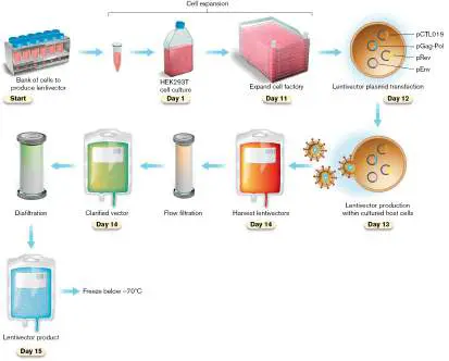 Figure from Chapter 16, Microbiology: An Evolving Science 6e
