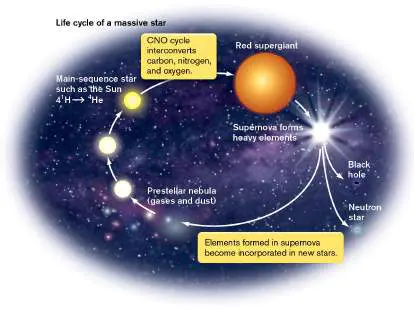 Figure from Chapter 17, Microbiology: An Evolving Science 6e