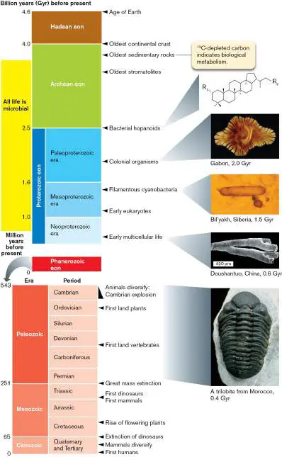 Figure from Chapter 17, Microbiology: An Evolving Science 6e