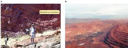 Figure from Chapter 17, Microbiology: An Evolving Science 6e