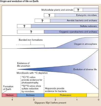 Figure from Chapter 17, Microbiology: An Evolving Science 6e