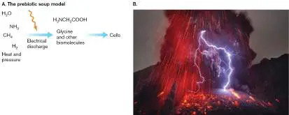 Figure from Chapter 17, Microbiology: An Evolving Science 6e