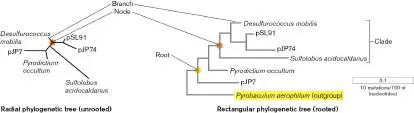 Figure from Chapter 17, Microbiology: An Evolving Science 6e