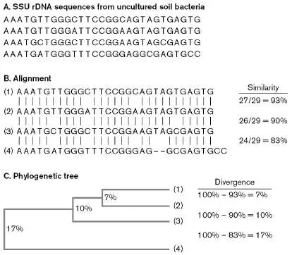Figure from Chapter 17, Microbiology: An Evolving Science 6e