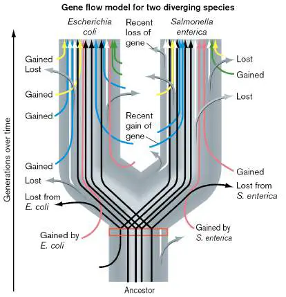 Figure from Chapter 17, Microbiology: An Evolving Science 6e