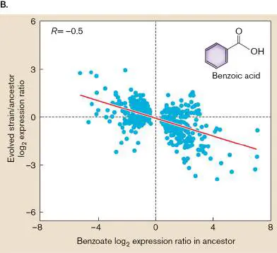 Figure from Chapter 17, Microbiology: An Evolving Science 6e