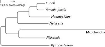 Figure from Chapter 17, Microbiology: An Evolving Science 6e