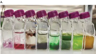 Figure from Chapter 18, Microbiology: An Evolving Science 6e