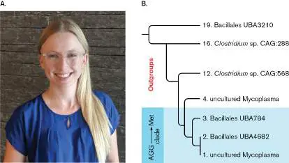 Figure from Chapter 18, Microbiology: An Evolving Science 6e