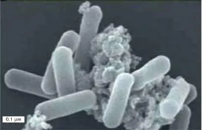 Figure from Chapter 19, Microbiology: An Evolving Science 6e
