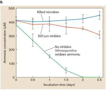 Figure from Chapter 19, Microbiology: An Evolving Science 6e