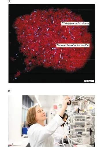 Figure from Chapter 19, Microbiology: An Evolving Science 6e