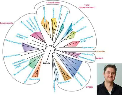 Figure from Chapter 19, Microbiology: An Evolving Science 6e