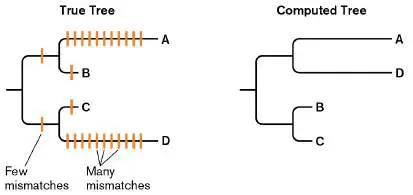 Figure from Chapter 19, Microbiology: An Evolving Science 6e