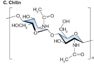 Figure from Chapter 20, Microbiology: An Evolving Science 6e