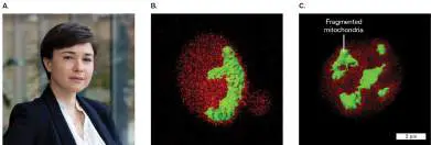 Figure from Chapter 20, Microbiology: An Evolving Science 6e