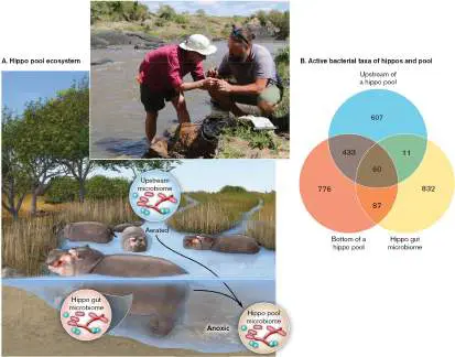 Figure from Chapter 21, Microbiology: An Evolving Science 6e