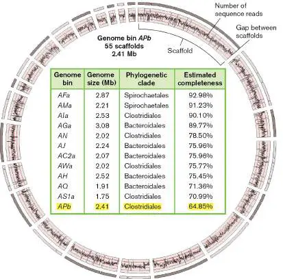 Figure from Chapter 21, Microbiology: An Evolving Science 6e