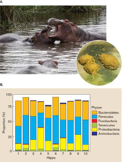Figure from Chapter 21, Microbiology: An Evolving Science 6e
