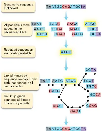 Figure from Chapter 21, Microbiology: An Evolving Science 6e