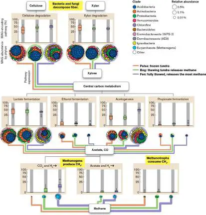 Figure from Chapter 21, Microbiology: An Evolving Science 6e
