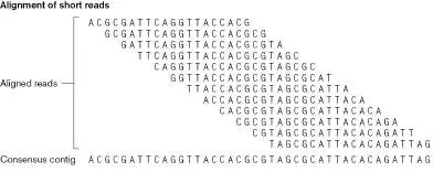 Figure from Chapter 21, Microbiology: An Evolving Science 6e