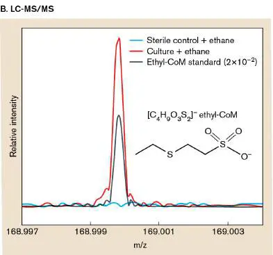 Figure from Chapter 21, Microbiology: An Evolving Science 6e