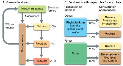 Figure from Chapter 21, Microbiology: An Evolving Science 6e