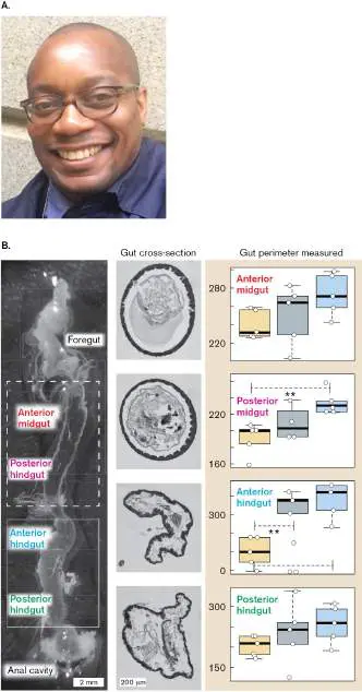 Figure from Chapter 21, Microbiology: An Evolving Science 6e