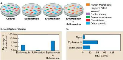 Figure from Chapter 21, Microbiology: An Evolving Science 6e