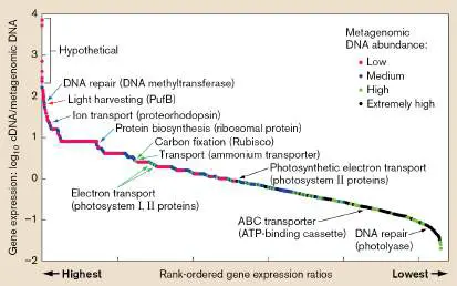 Figure from Chapter 21, Microbiology: An Evolving Science 6e