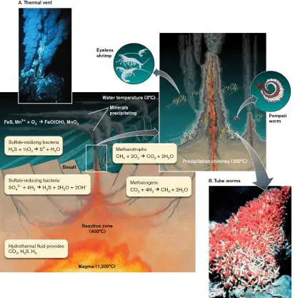 Figure from Chapter 21, Microbiology: An Evolving Science 6e