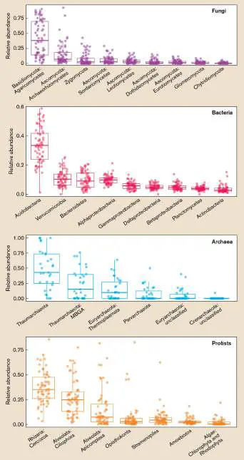 Figure from Chapter 21, Microbiology: An Evolving Science 6e