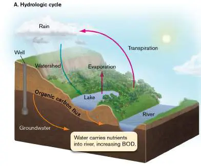 Figure from Chapter 22, Microbiology: An Evolving Science 6e
