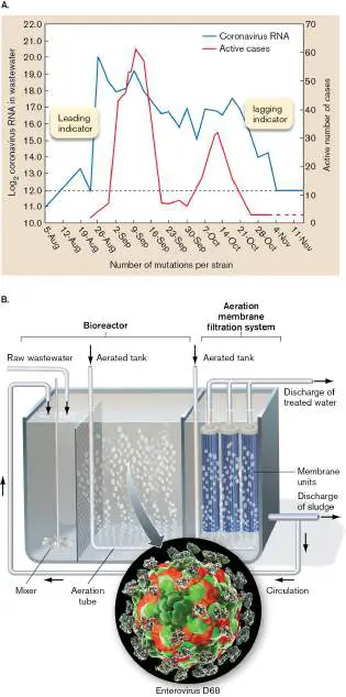 Figure from Chapter 22, Microbiology: An Evolving Science 6e