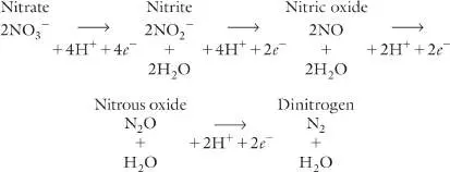 Figure from Chapter 22, Microbiology: An Evolving Science 6e