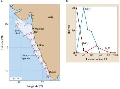 Figure from Chapter 22, Microbiology: An Evolving Science 6e