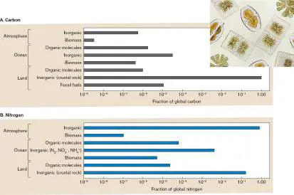 Figure from Chapter 22, Microbiology: An Evolving Science 6e