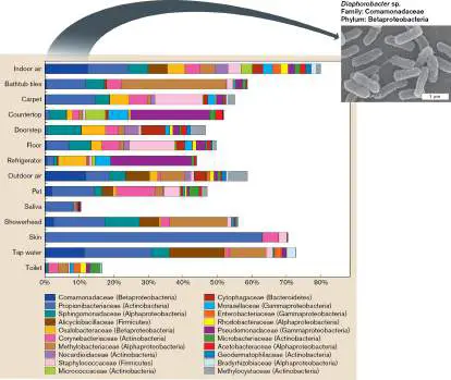 Figure from Chapter 22, Microbiology: An Evolving Science 6e