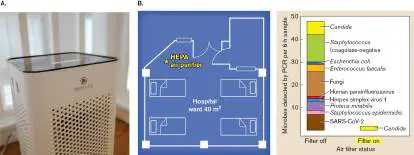 Figure from Chapter 22, Microbiology: An Evolving Science 6e