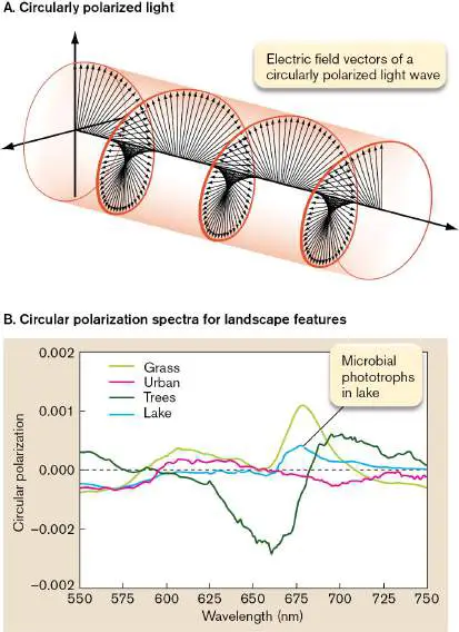 Figure from Chapter 22, Microbiology: An Evolving Science 6e