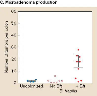 Figure from Chapter 23, Microbiology: An Evolving Science 6e