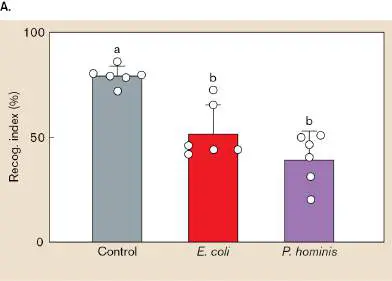 Figure from Chapter 23, Microbiology: An Evolving Science 6e