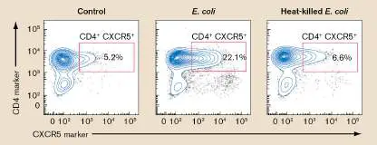 Figure from Chapter 24, Microbiology: An Evolving Science 6e