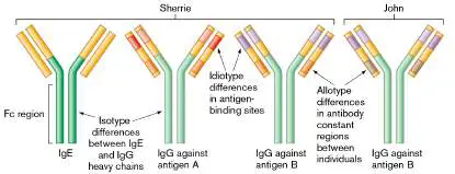 Figure from Chapter 24, Microbiology: An Evolving Science 6e