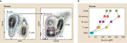 Figure from Chapter 24, Microbiology: An Evolving Science 6e